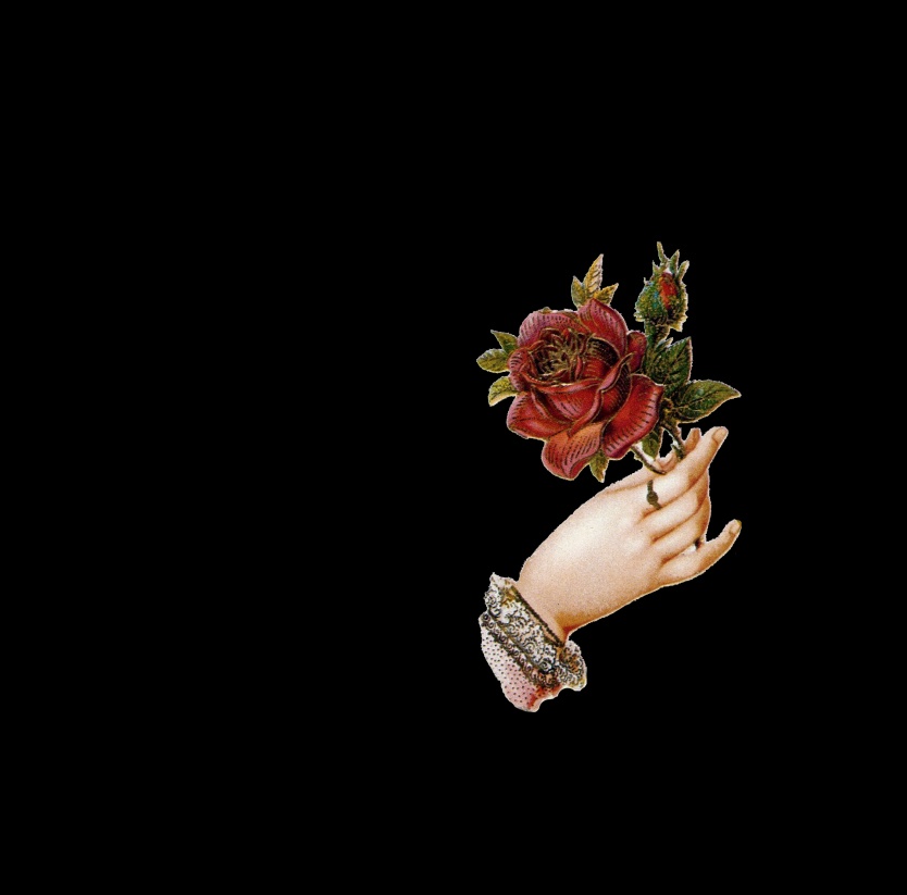 紅哀燈人形 ~ Daydream of Dozen Rose