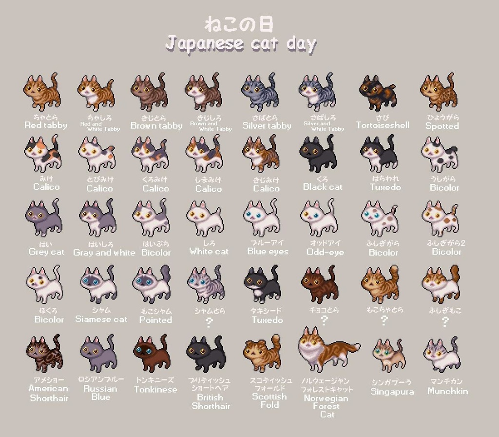 Japanese cat day set