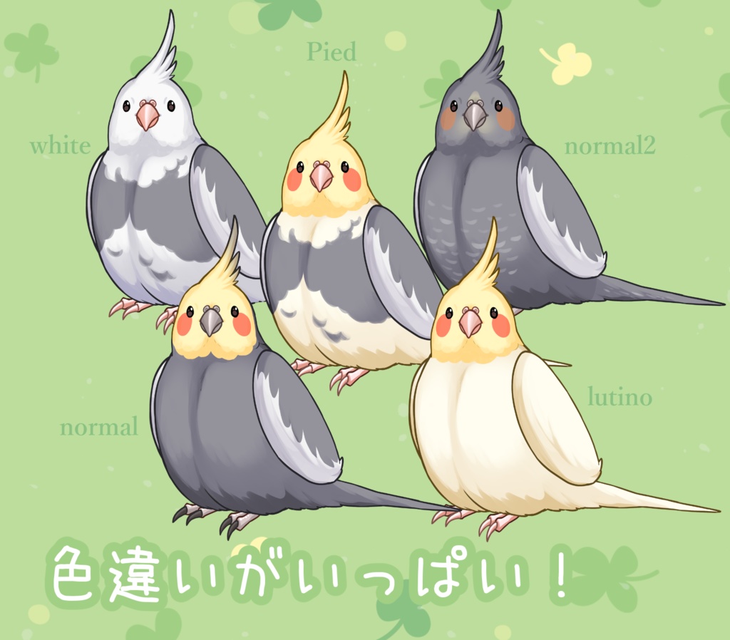【汎用モデル】オカメインコちゃん【Live2Dモデル】