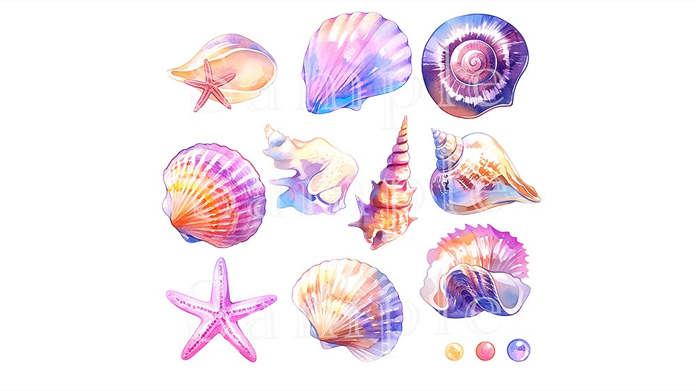 【web/印刷用】貝殻水彩イラスト素材集【無料あり】