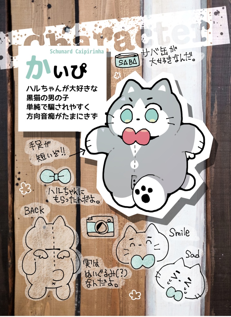 そふぴスタートブック
