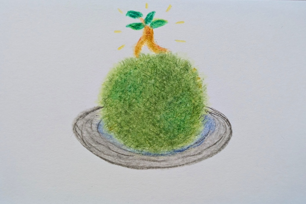 パリピ苔玉