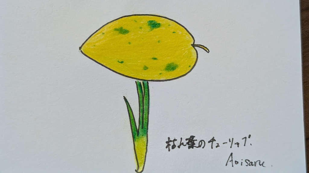 枯れ葉のチューリップ