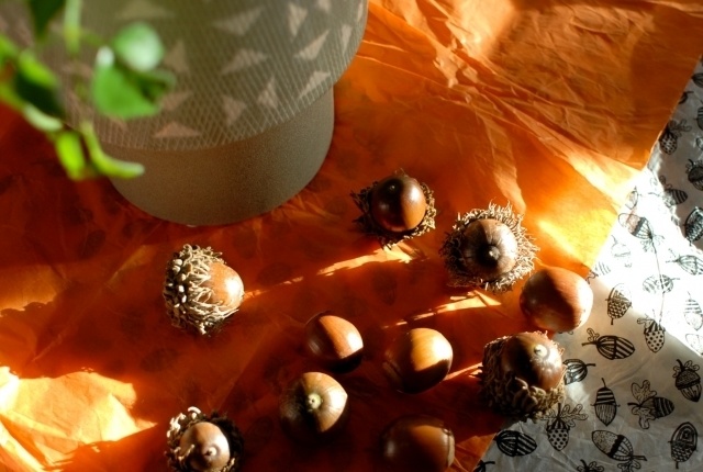 ≪衣替えの季節≫