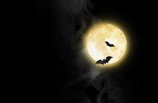 ≪ハロウィンの夜に≫