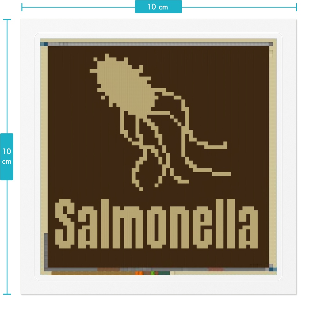 サルモネラ菌ステッカー