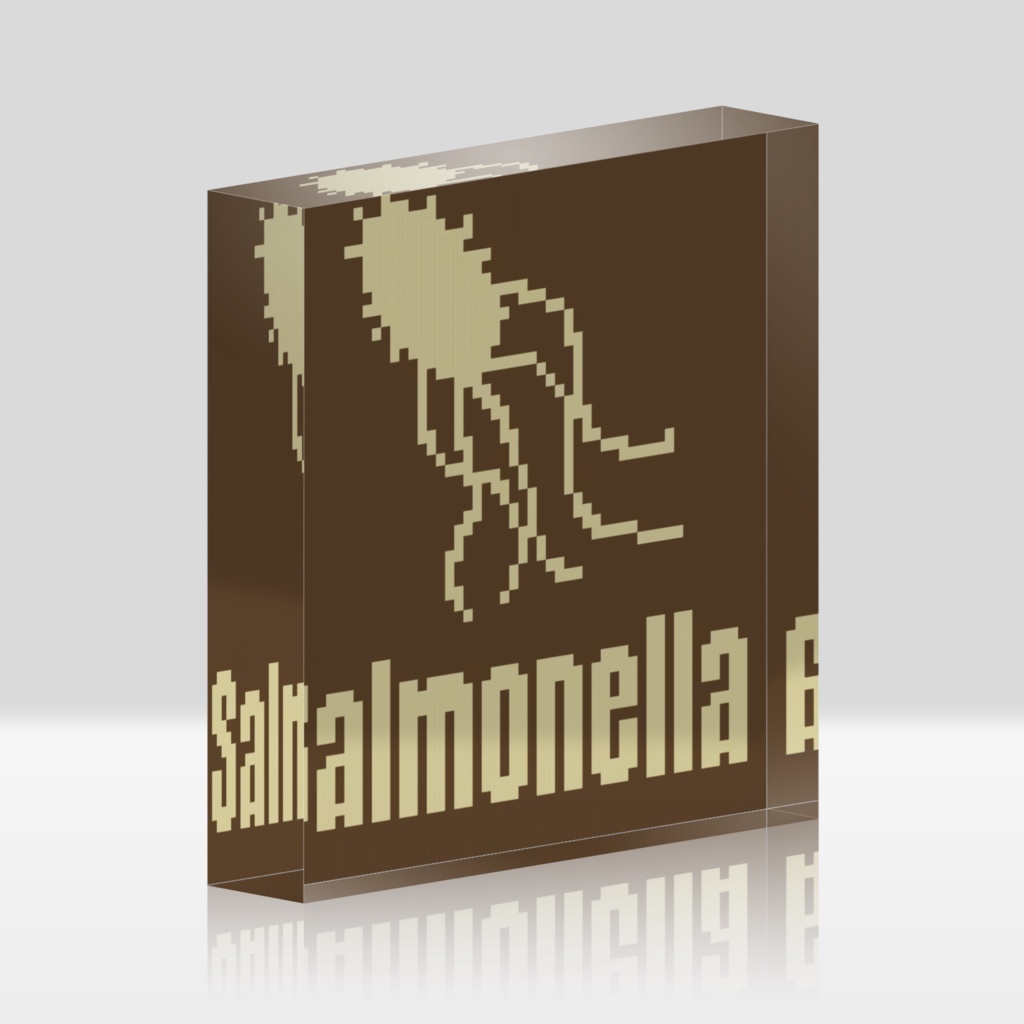 サルモネラ菌アクリルブロック