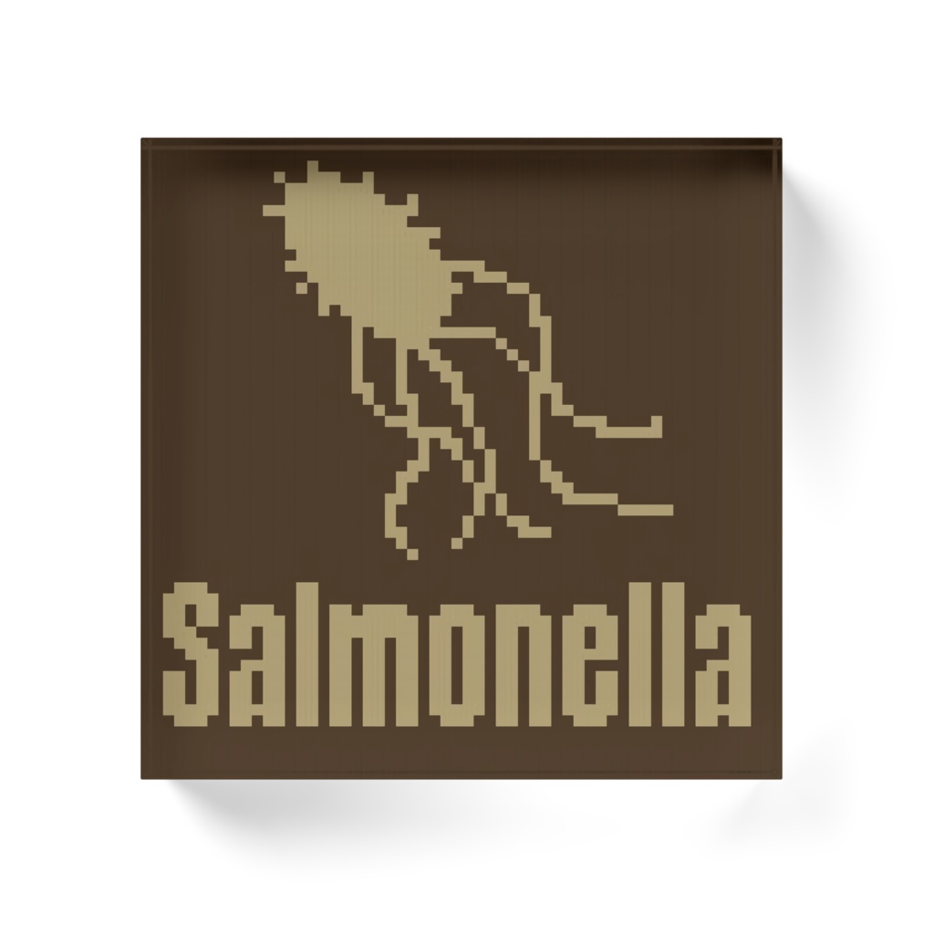 サルモネラ菌アクリルブロック