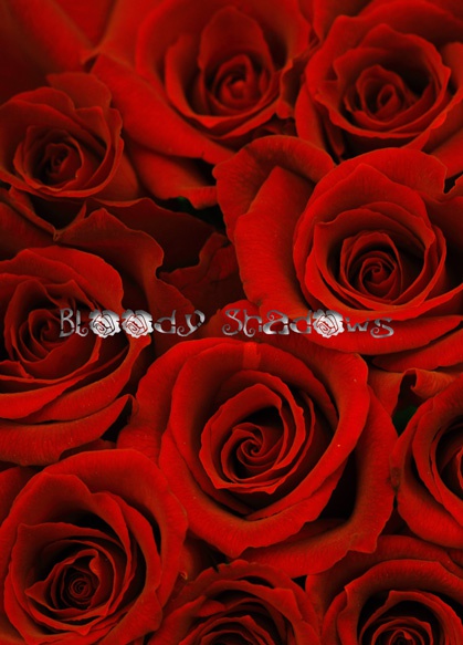 Bloody Shadows