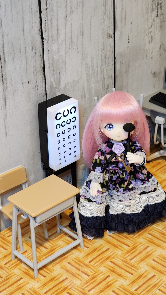 【1/3.4.6-12】ドール視力検査 遮眼子