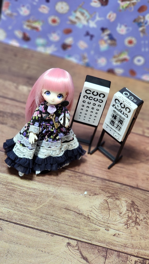 【1/3.4.6-12】ドール視力検査 遮眼子