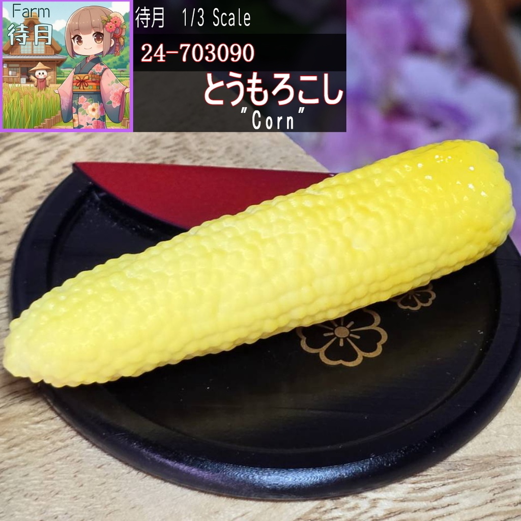 【1/3】とうもろこし(24-703090)