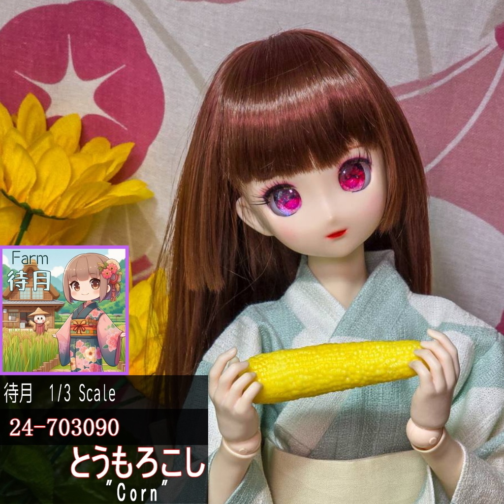【1/3】とうもろこし(24-703090)
