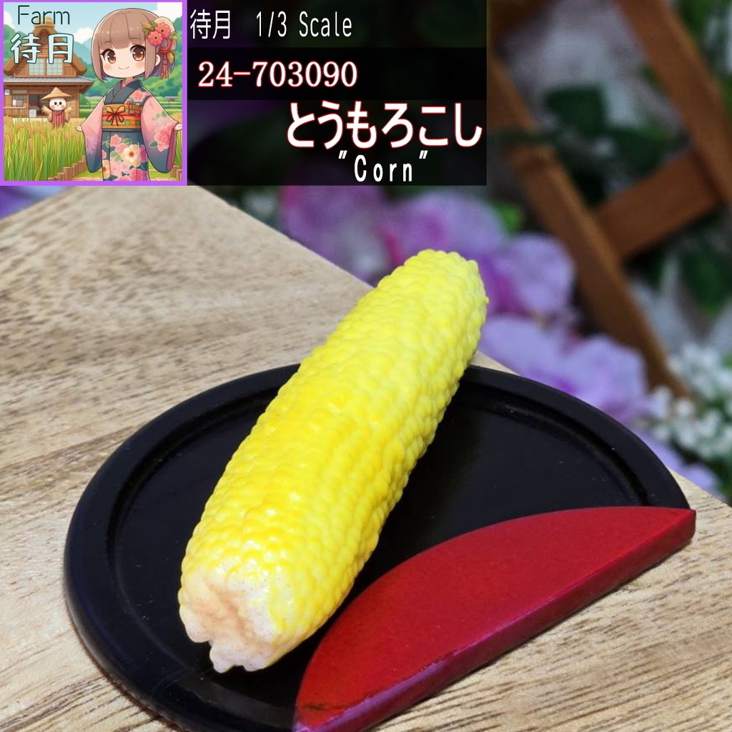 【1/3】とうもろこし(24-703090)