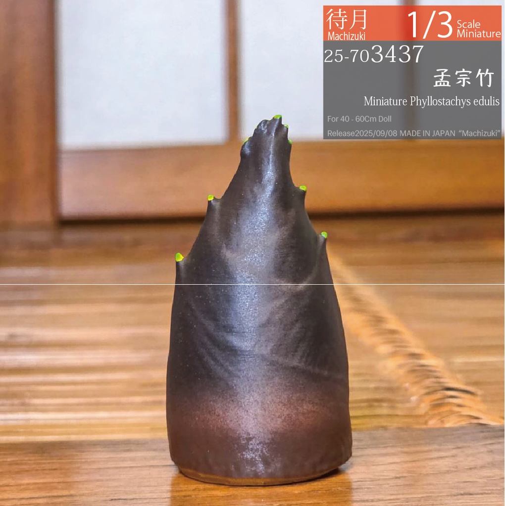 【1/3】孟宗竹(25-703437)