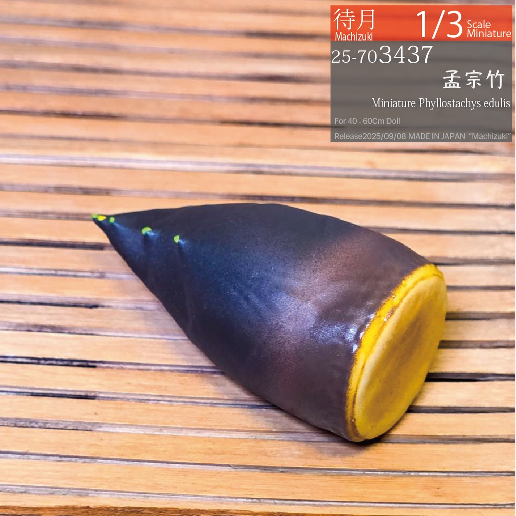 【1/3】孟宗竹(25-703437)