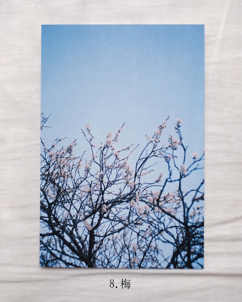 『光の粒』ポストカード7〜12