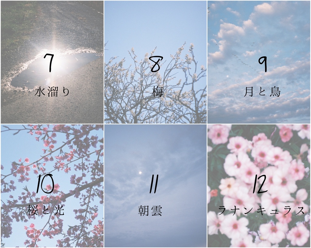 『光の粒』ポストカード7〜12