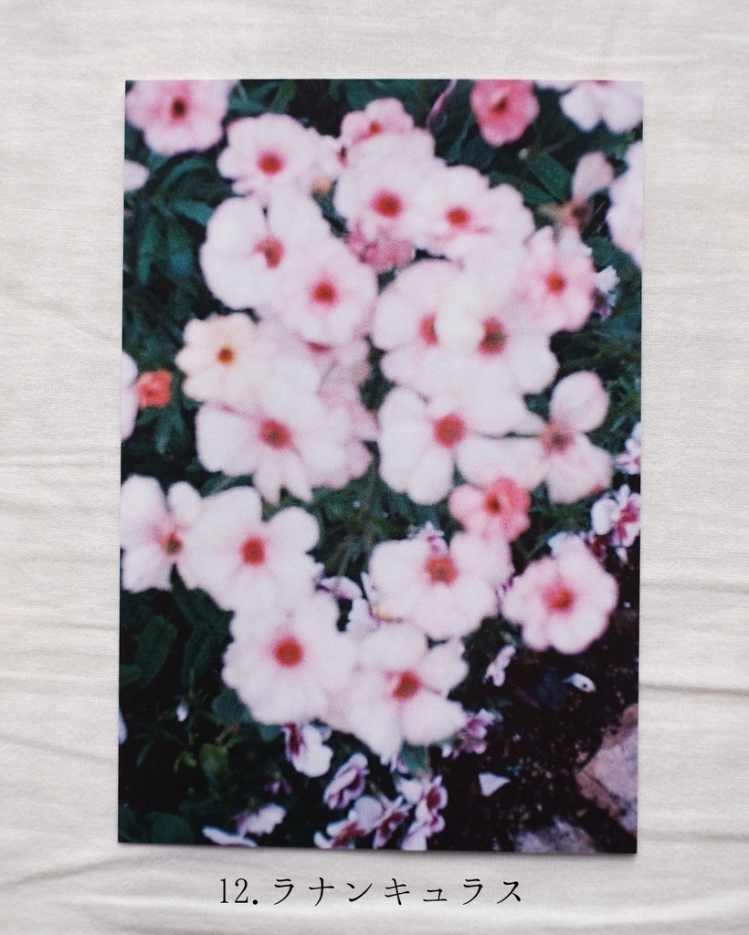 『光の粒』ポストカード7〜12