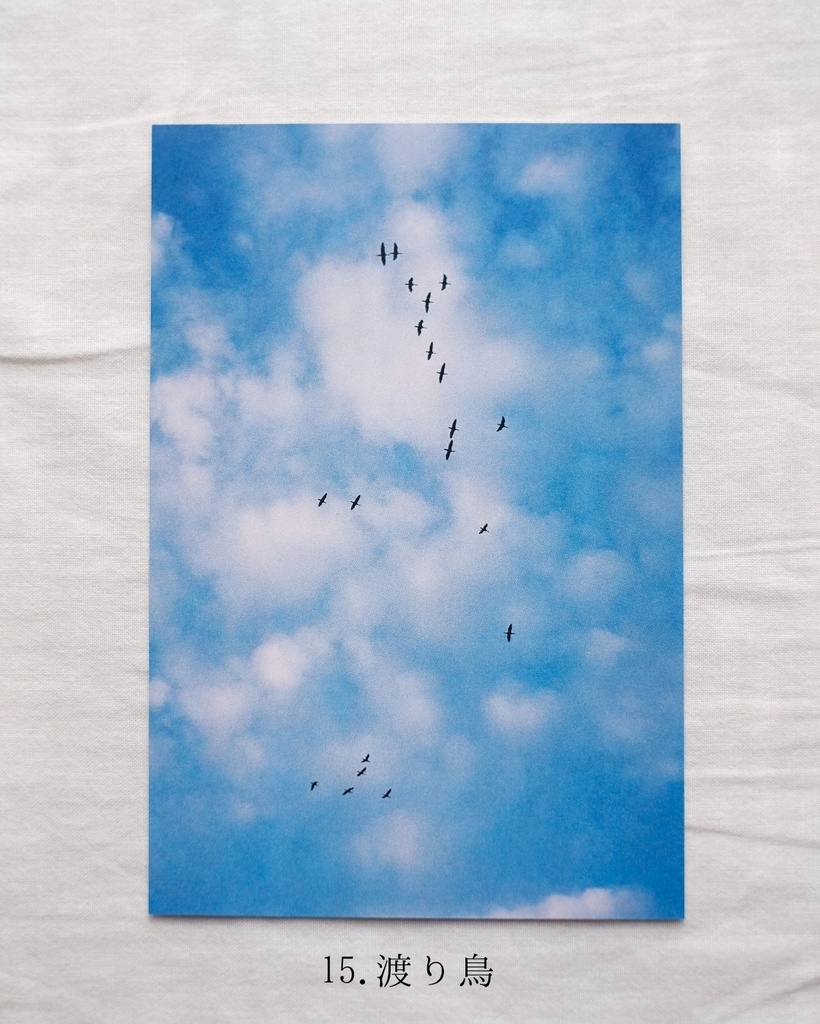 『光の粒』ポストカード13〜18