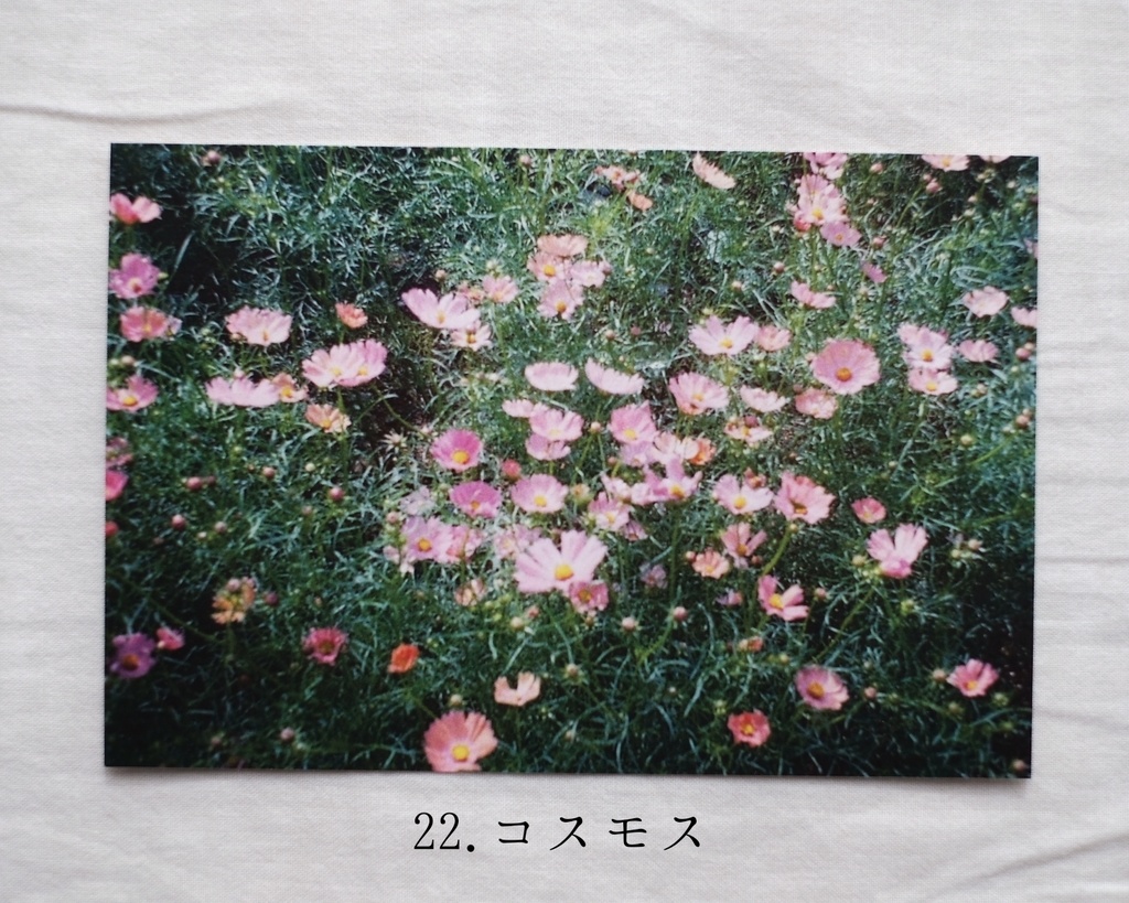 『光の粒』ポストカード19〜24