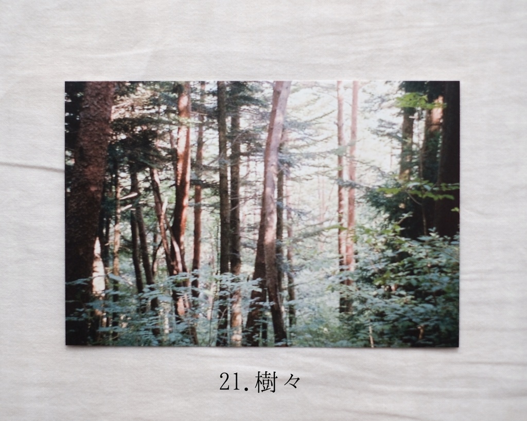 『光の粒』ポストカード19〜24