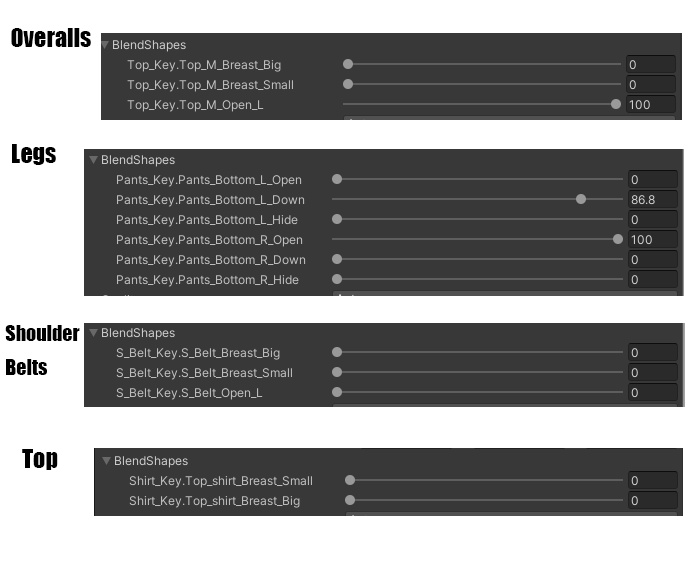 Overalls_(Selestia & Rindo)