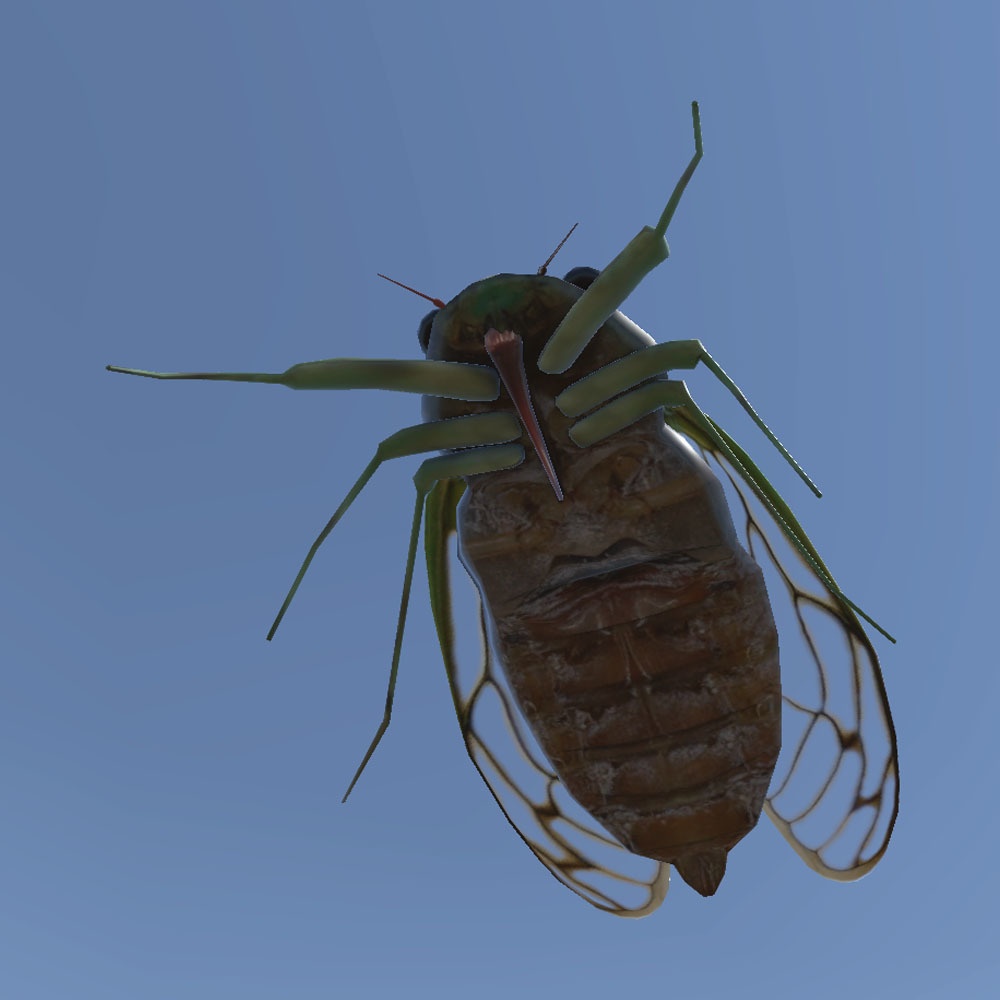 【3Dモデル】 蝉・ヒグラシ