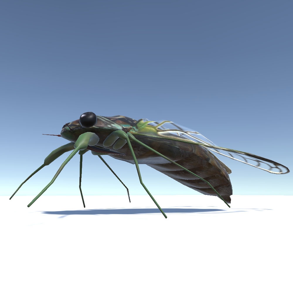 【3Dモデル】 蝉・ヒグラシ
