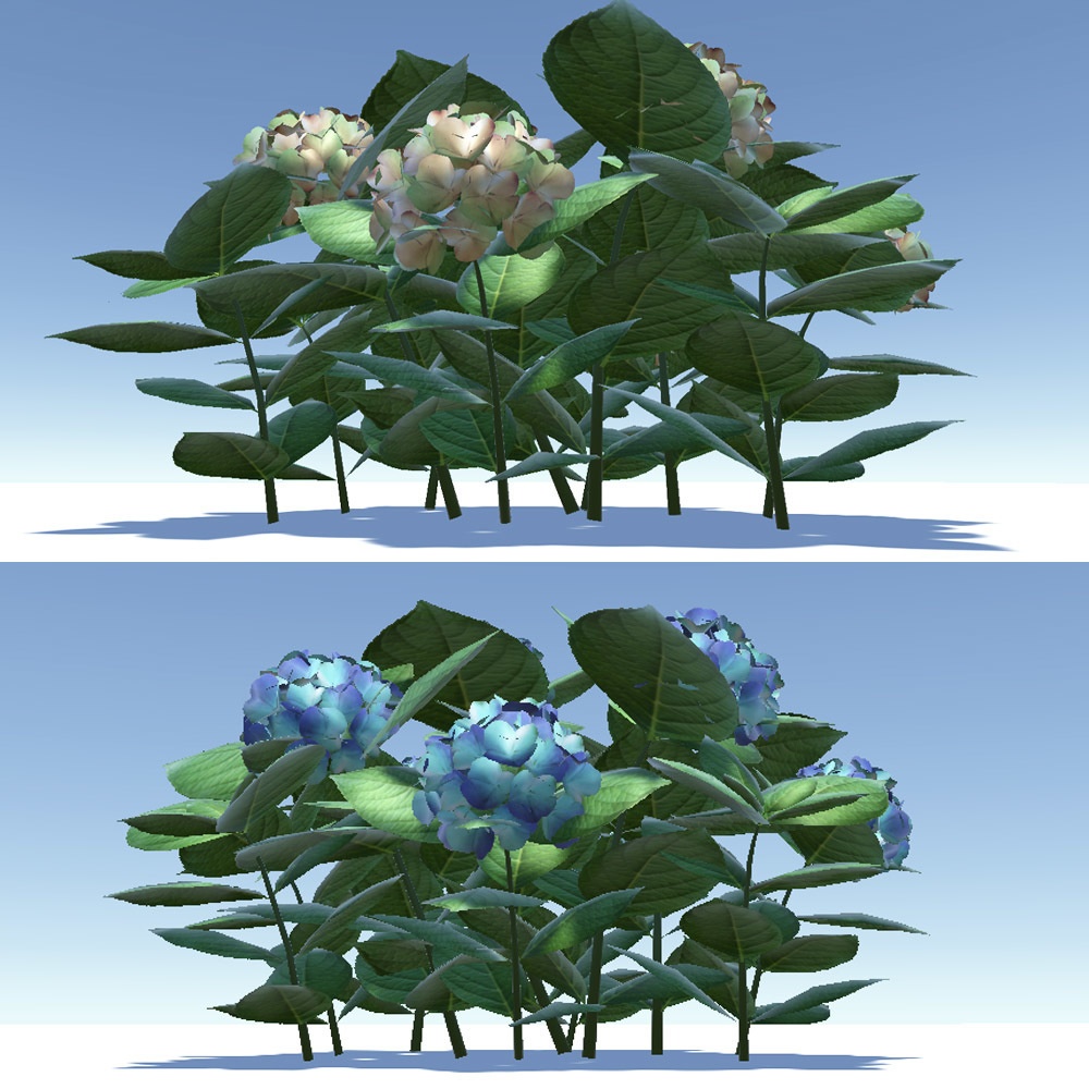 【3Dモデル】 あじさい