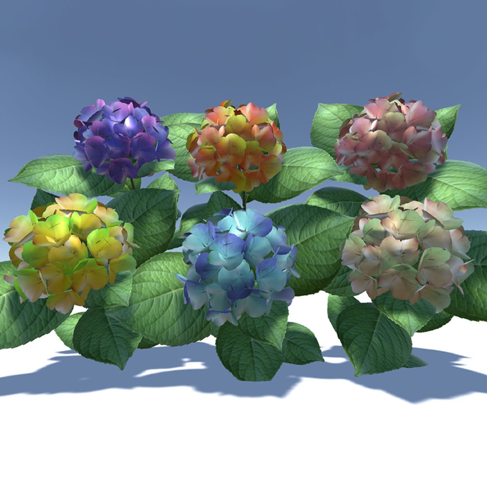 【3Dモデル】 あじさい