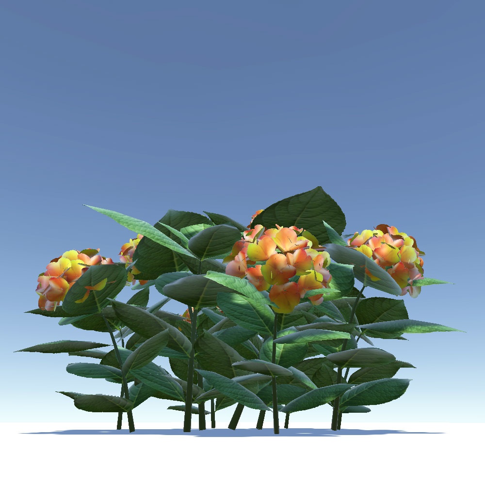 【3Dモデル】 あじさい