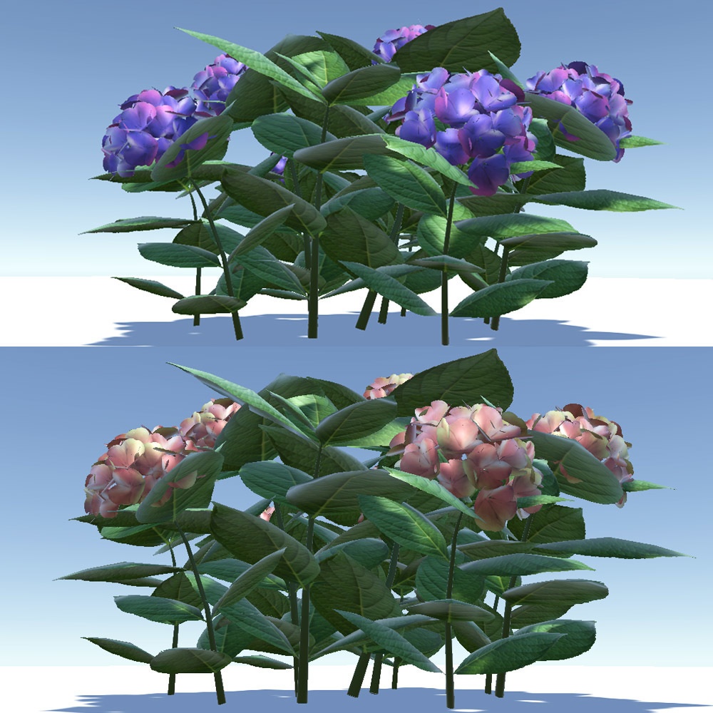 【3Dモデル】 あじさい