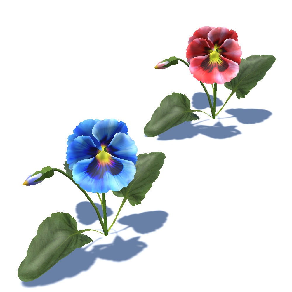 【3Dモデル】7色のパンジー
