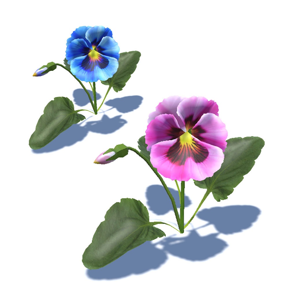 【3Dモデル】7色のパンジー