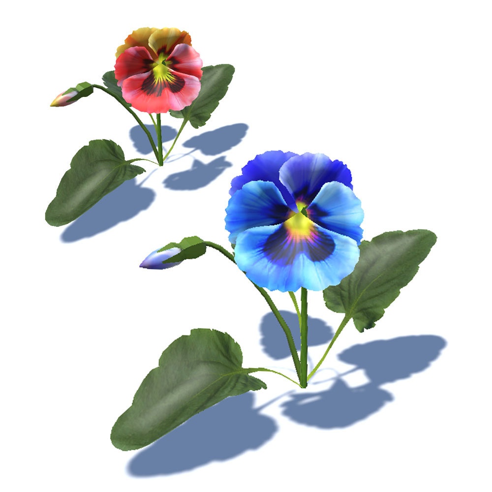 【3Dモデル】7色のパンジー