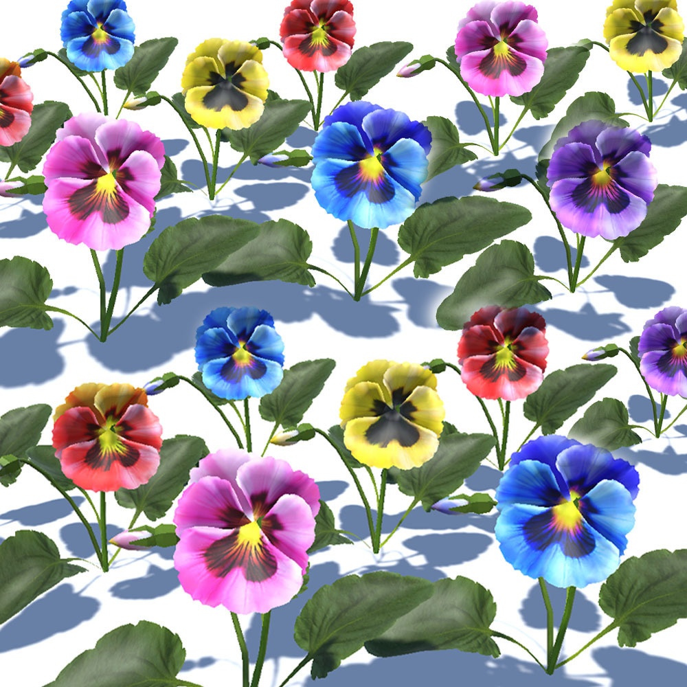 【3Dモデル】7色のパンジー