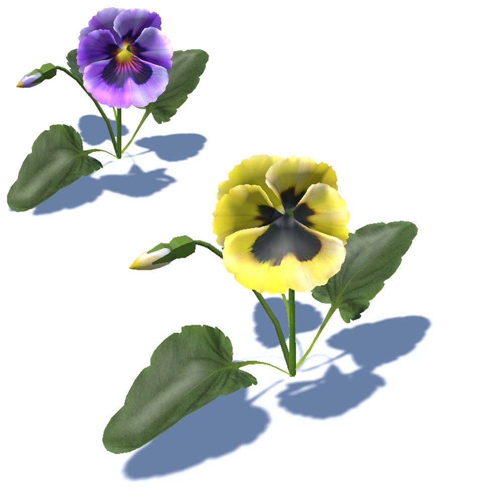 【3Dモデル】7色のパンジー