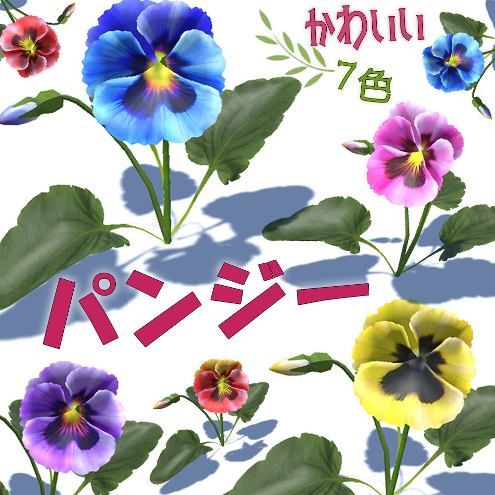 【3Dモデル】7色のパンジー