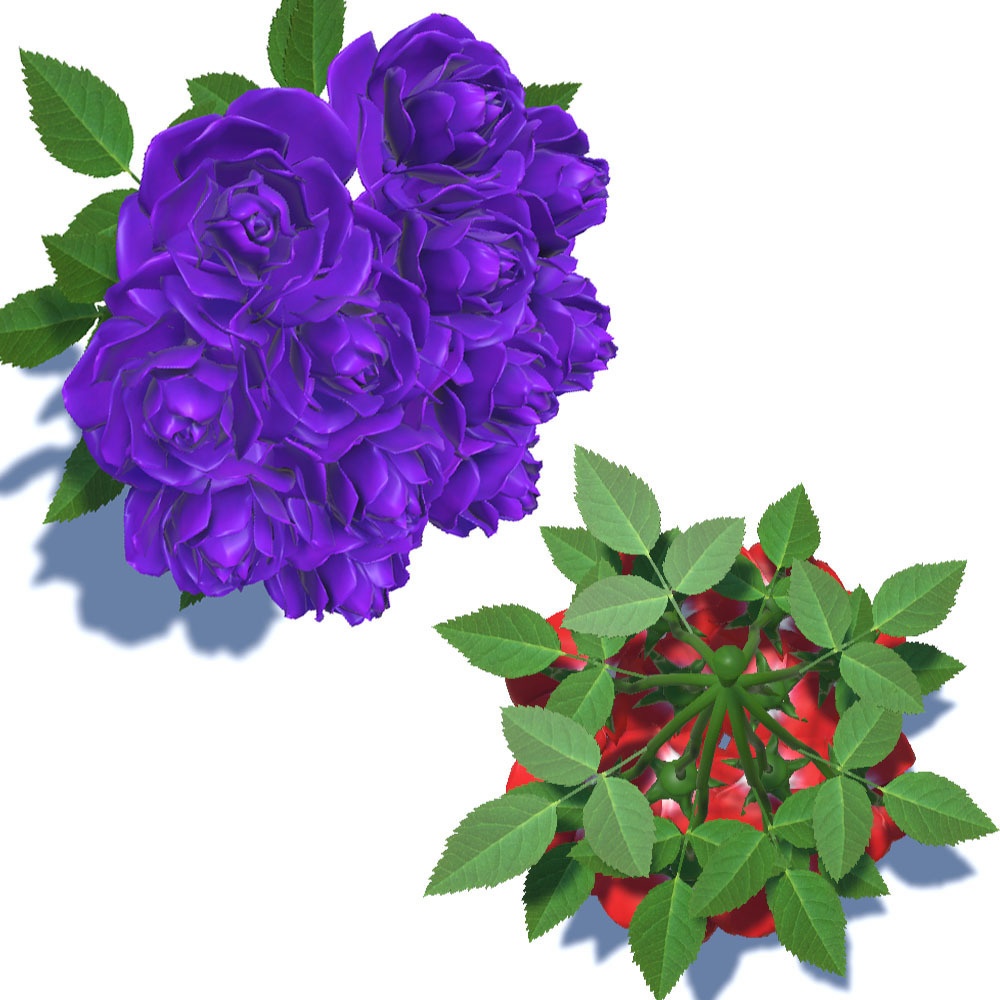 【3Dモデル】 美しい薔薇の花束