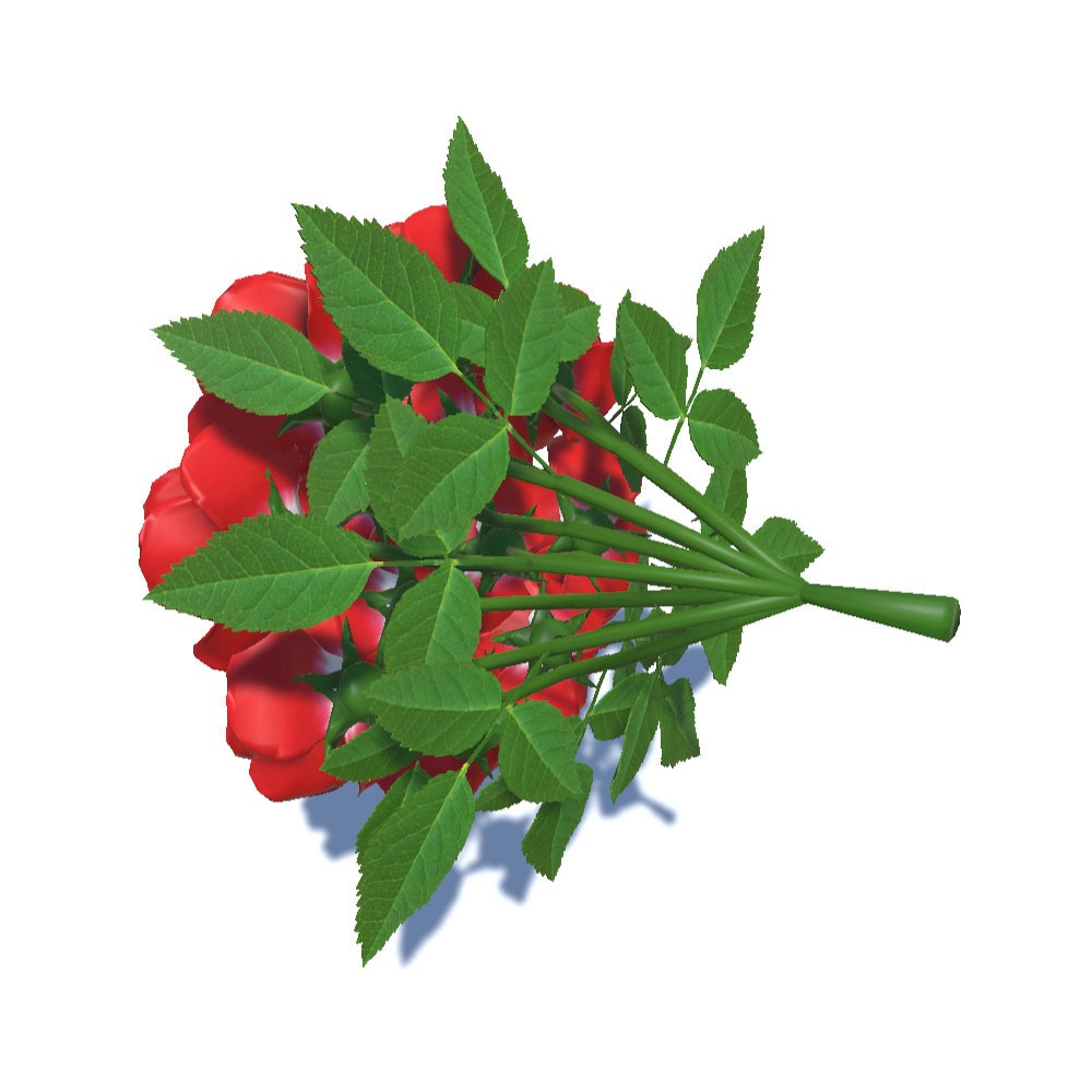 【3Dモデル】 美しい薔薇の花束