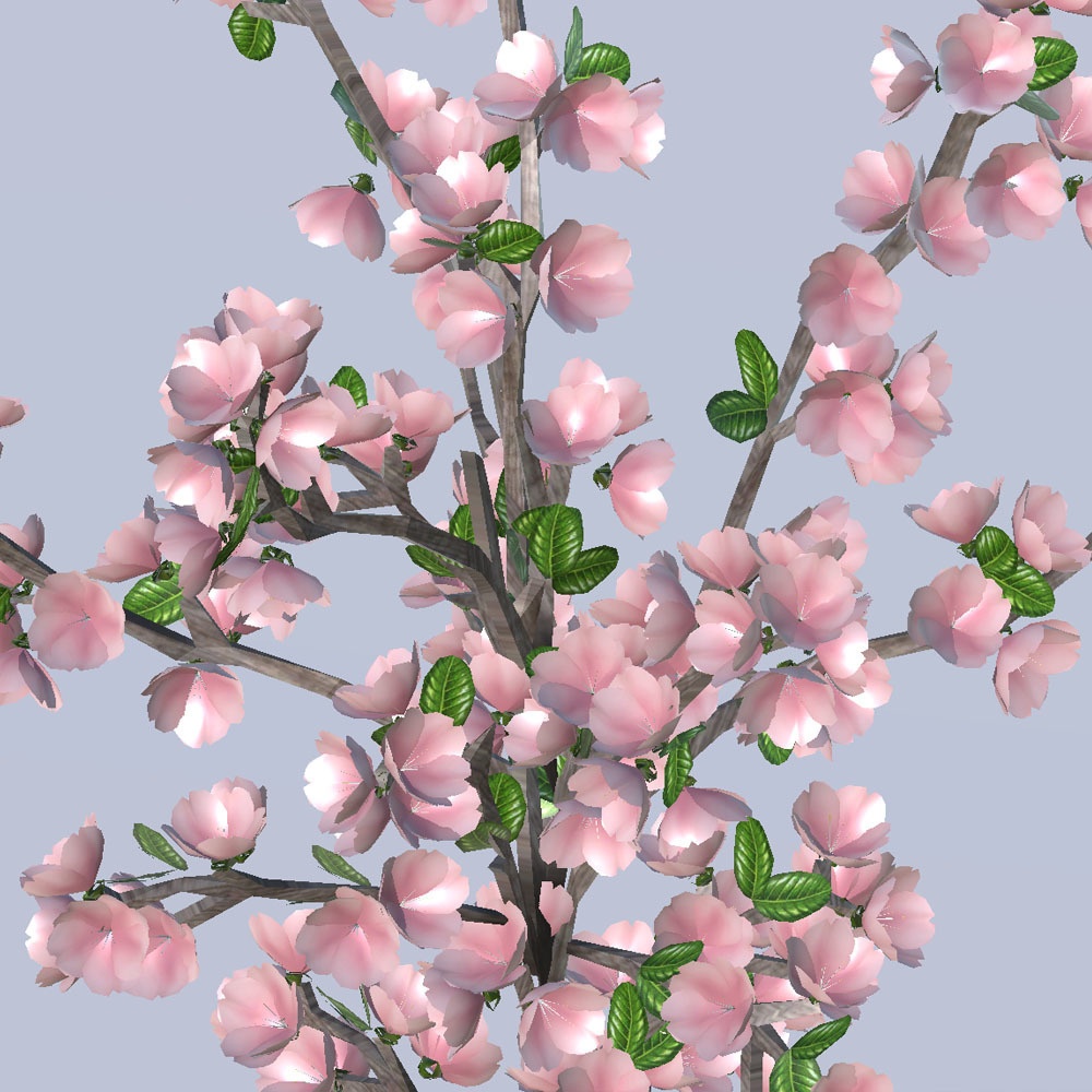【3Dモデル】桜の花瓶