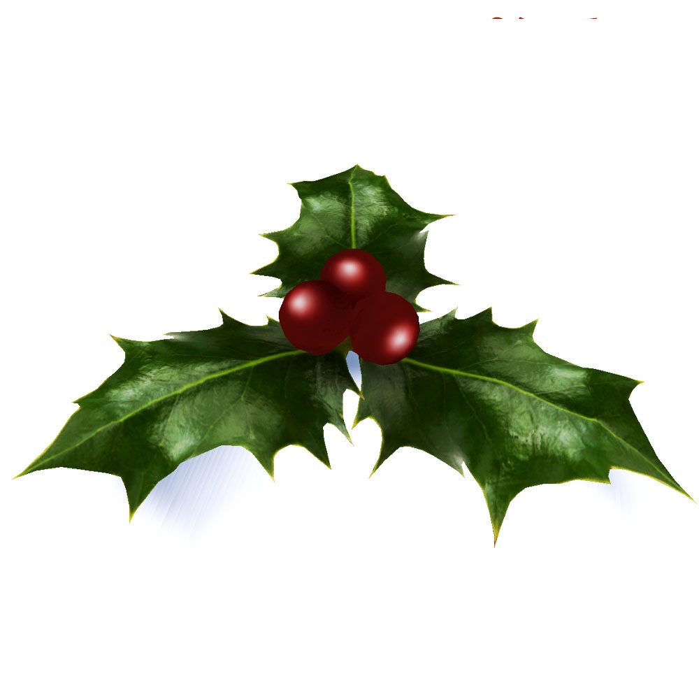【3Dモデル】クリスマス飾り ヒイラギ