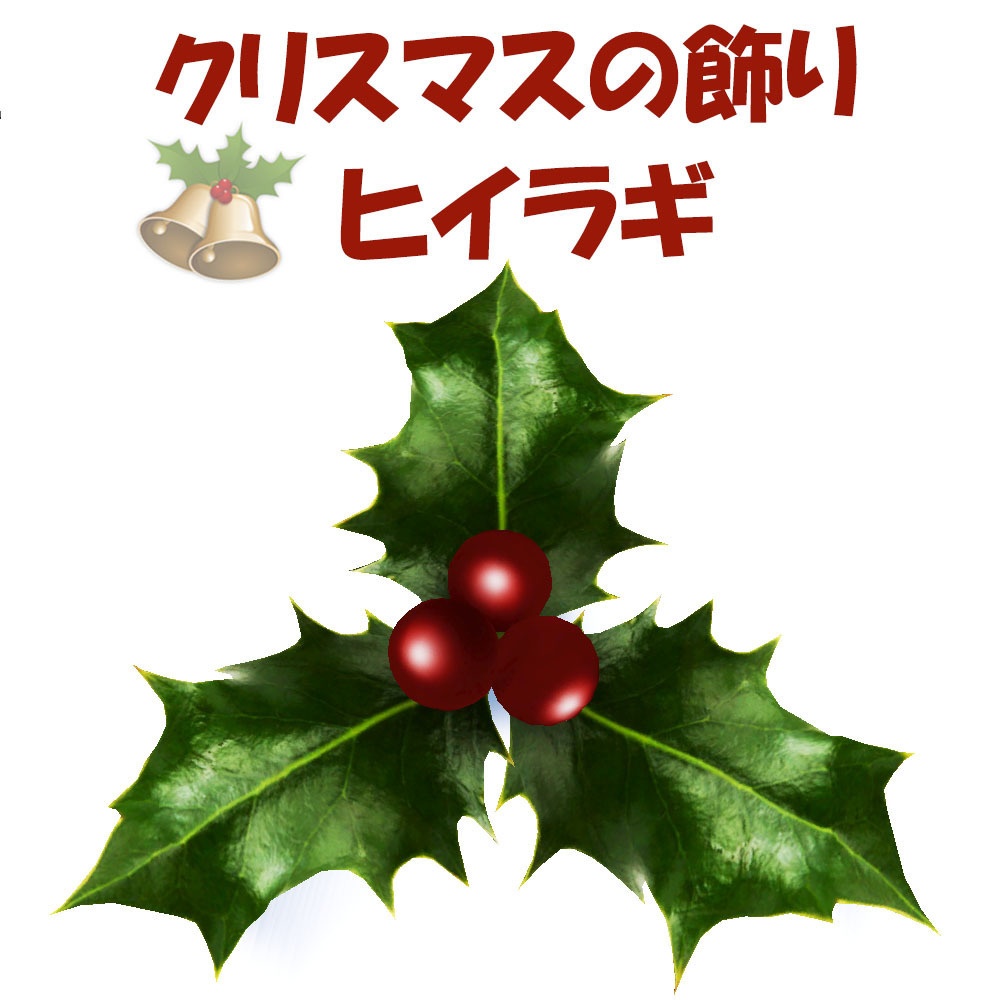 【3Dモデル】クリスマス飾り ヒイラギ