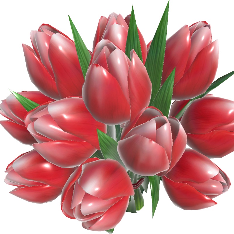 赤いチューリップ