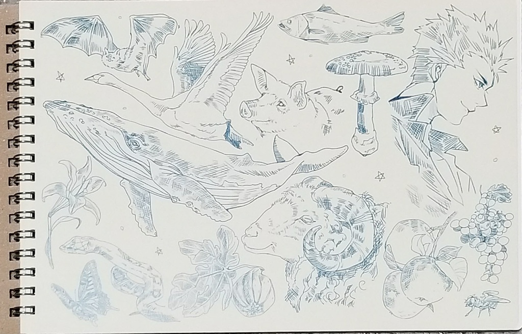 土佐金さんリングノート