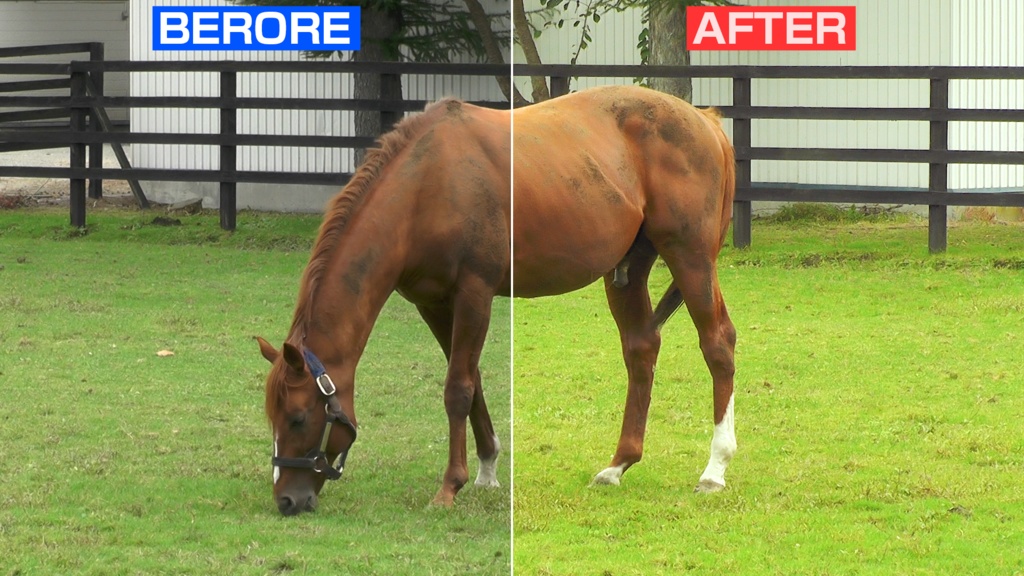 KOBUTOWN 2019-20AW CINE LUT PACK