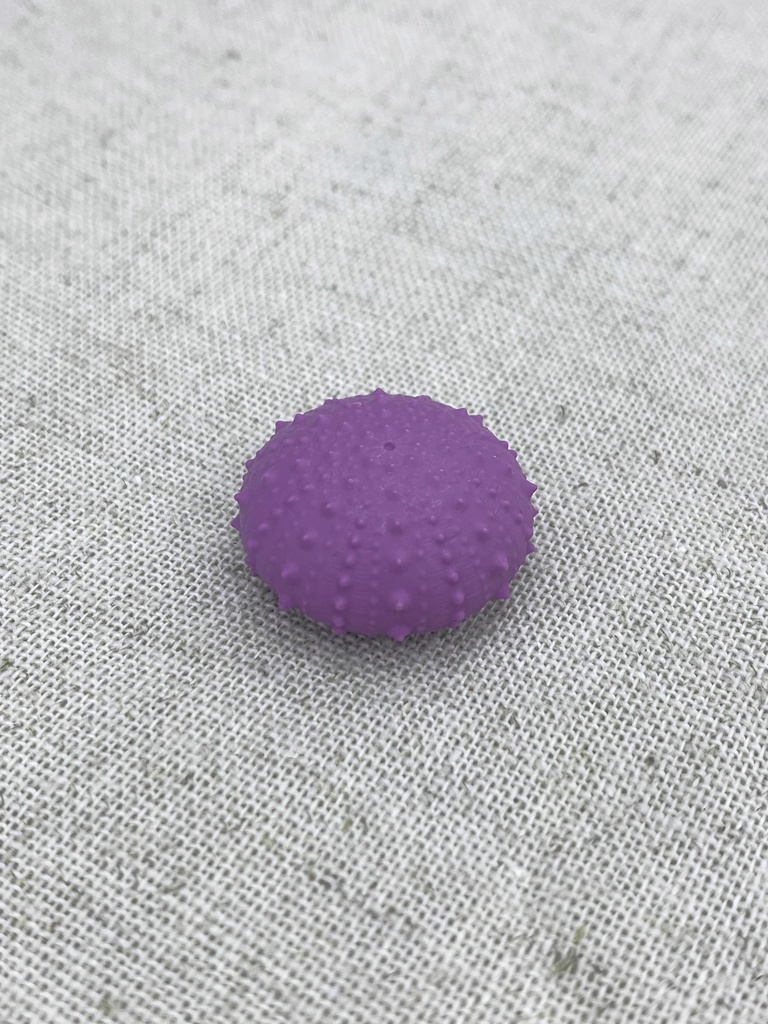 ちいさいウニ殻マスコット