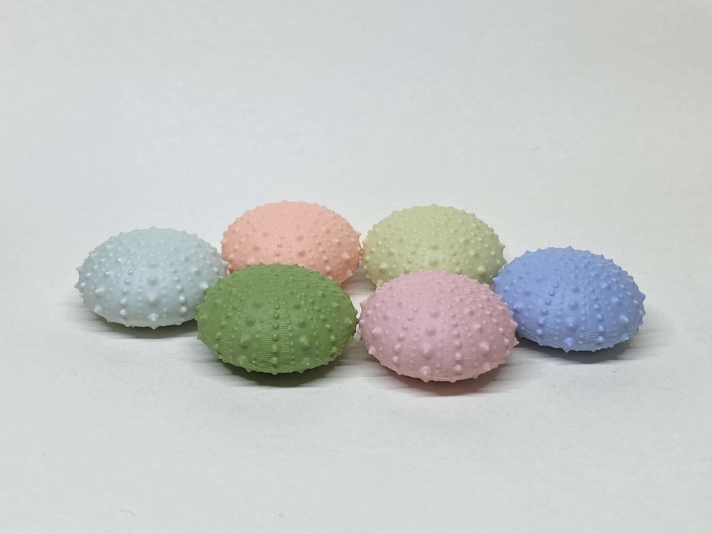 ちいさいウニ殻マスコット