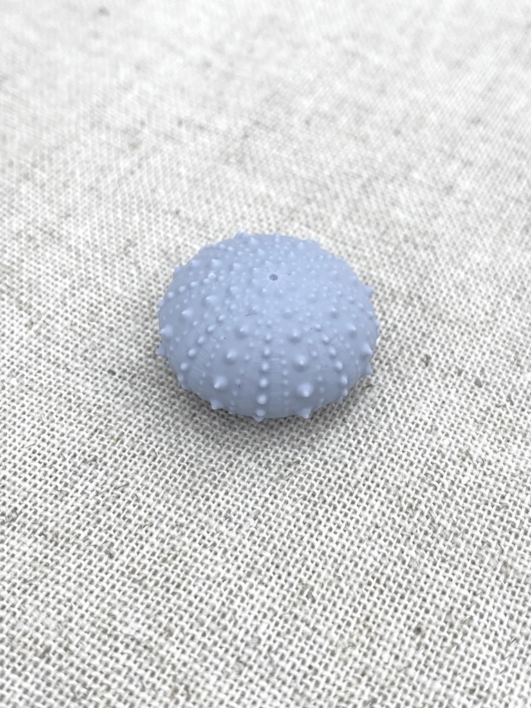 ちいさいウニ殻マスコット